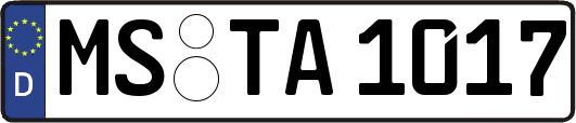 MS-TA1017