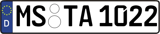 MS-TA1022