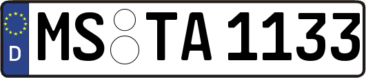 MS-TA1133