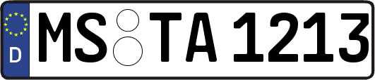 MS-TA1213