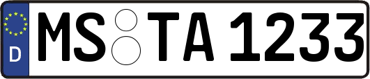 MS-TA1233