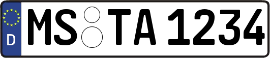 MS-TA1234