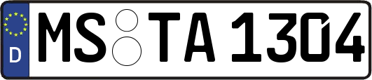 MS-TA1304