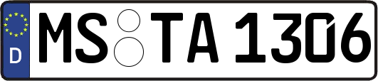 MS-TA1306