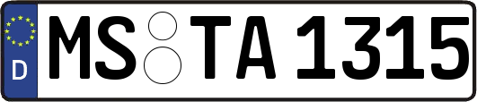 MS-TA1315