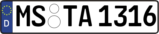 MS-TA1316