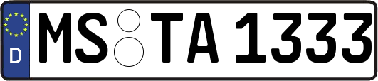 MS-TA1333