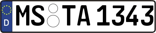 MS-TA1343