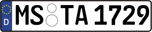 MS-TA1729