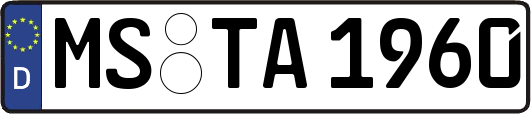 MS-TA1960