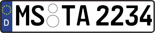 MS-TA2234