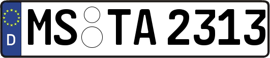 MS-TA2313