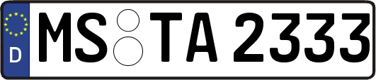 MS-TA2333