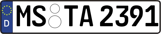 MS-TA2391