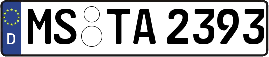 MS-TA2393