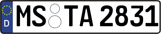 MS-TA2831