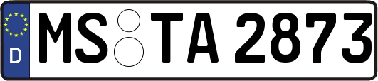 MS-TA2873