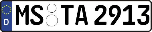 MS-TA2913