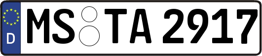 MS-TA2917