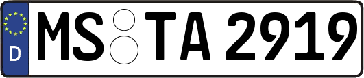 MS-TA2919