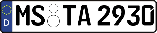 MS-TA2930