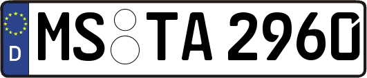 MS-TA2960