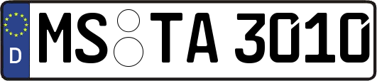 MS-TA3010