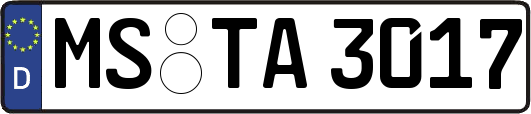 MS-TA3017