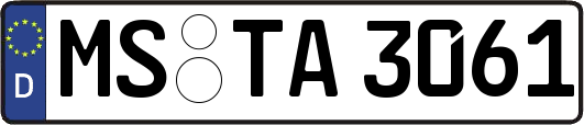 MS-TA3061