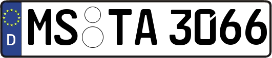 MS-TA3066