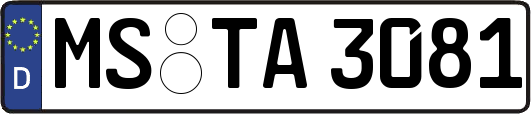 MS-TA3081