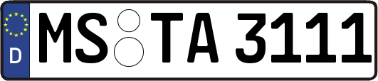 MS-TA3111