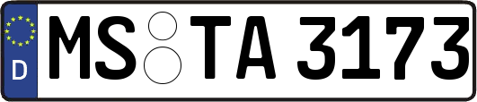 MS-TA3173