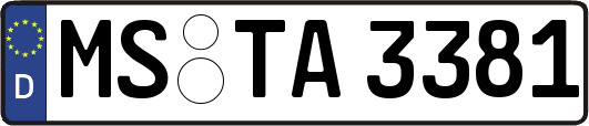 MS-TA3381
