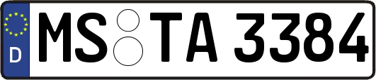 MS-TA3384