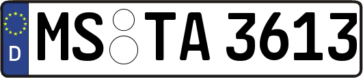 MS-TA3613