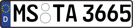 MS-TA3665