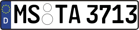 MS-TA3713