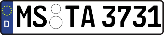 MS-TA3731