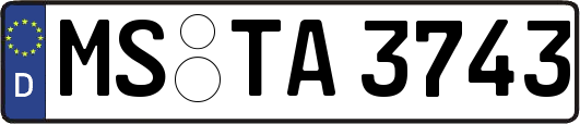 MS-TA3743