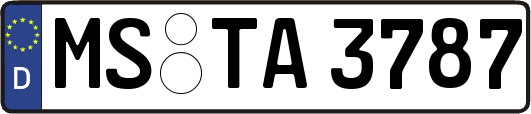 MS-TA3787