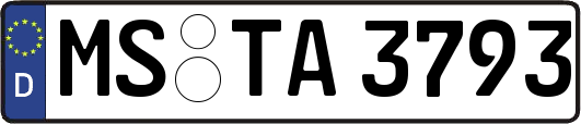MS-TA3793
