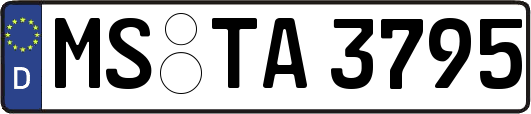 MS-TA3795
