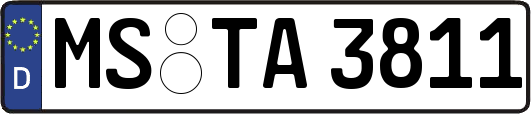 MS-TA3811