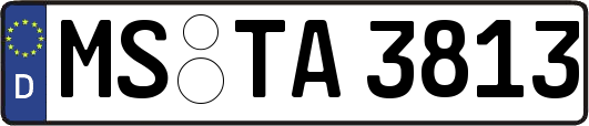 MS-TA3813