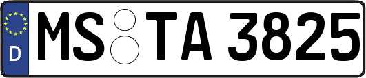 MS-TA3825