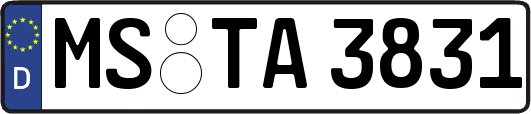 MS-TA3831