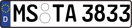 MS-TA3833