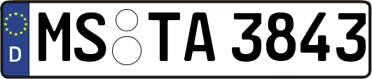MS-TA3843