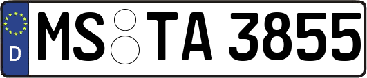 MS-TA3855